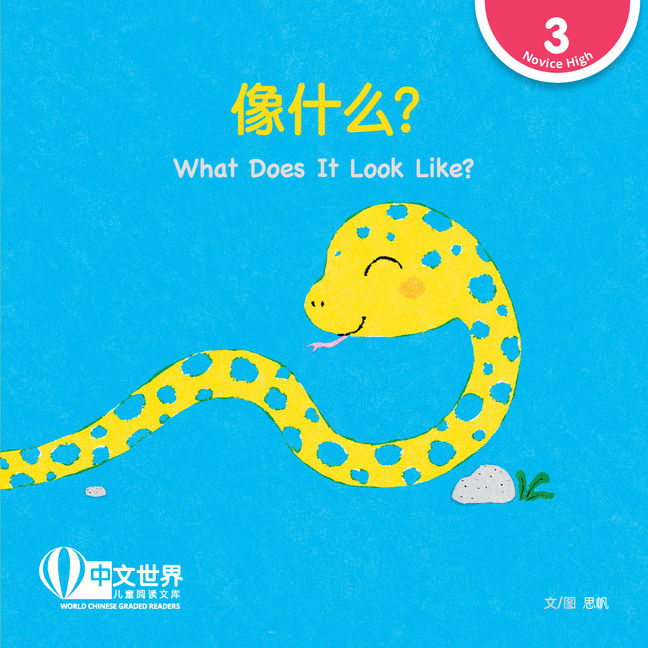 WCGR L3 - 像什么?