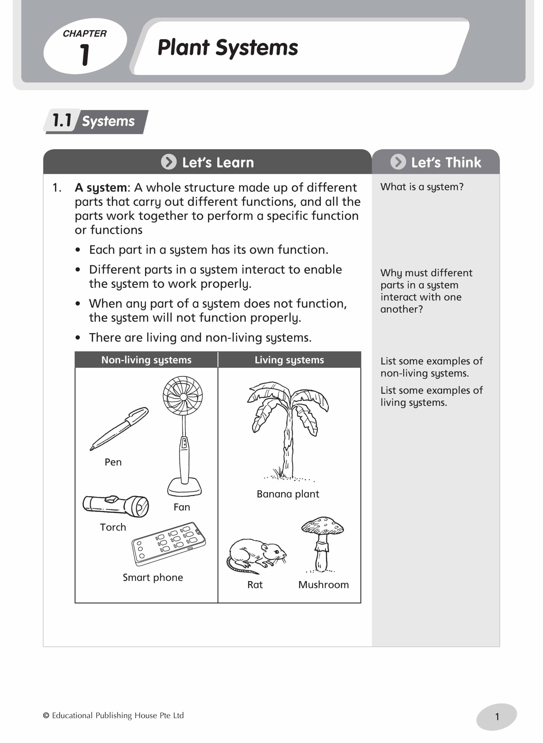 Primary 4 Science Practice