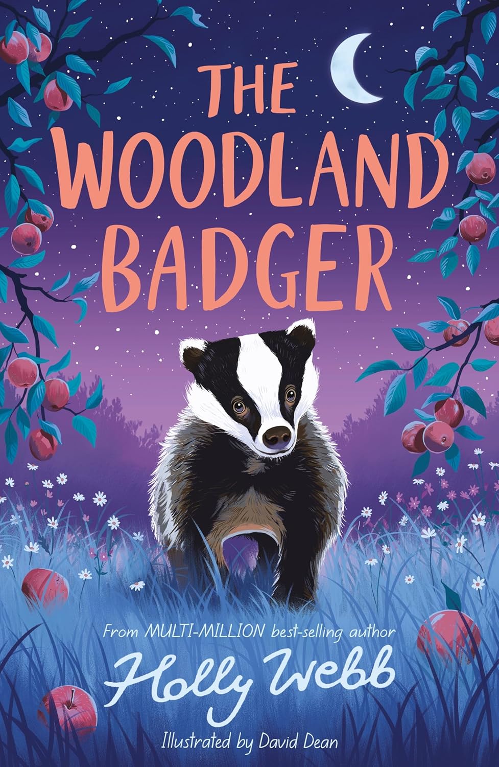 Summer Wildlife Stories: Woodland Badger