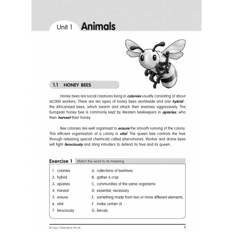 Secondary 1 Vocabulary in Context