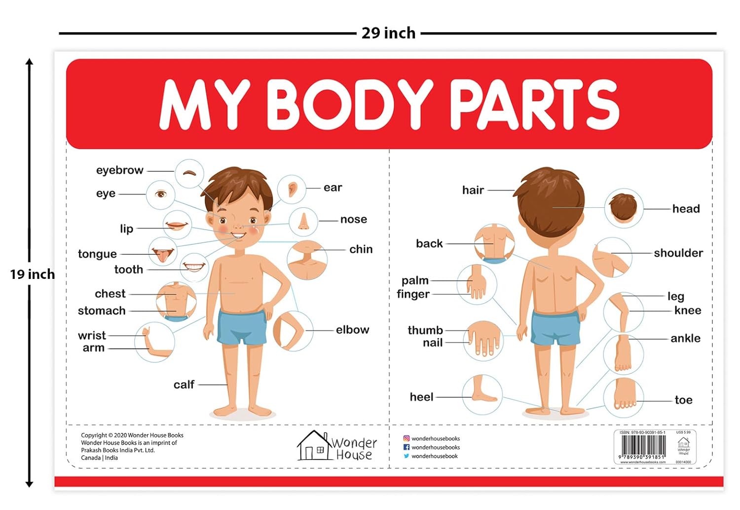 My Body Parts - My First Early Learning Wall Chart