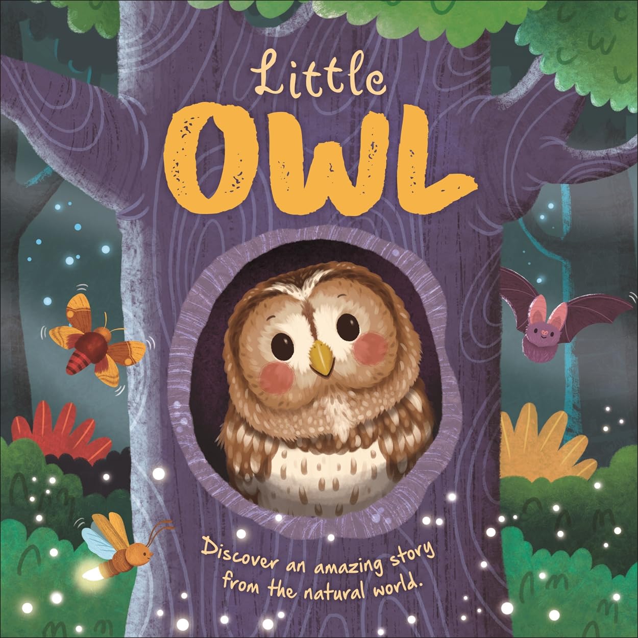 Little Owl (An Illustrated Story About The Life-Cycle Of An Owl) (Board book)