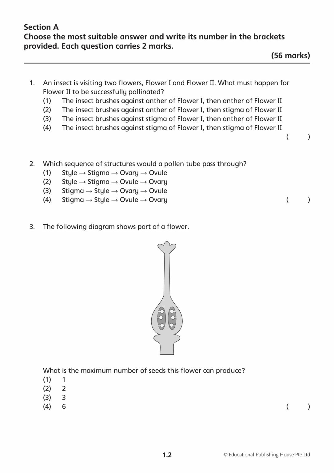Primary 5 Science Mid-Year Review Papers