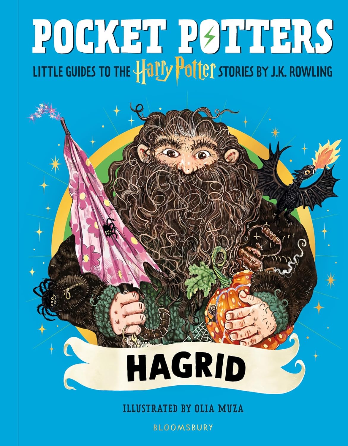 Harry Potter Pocket Potters: Hagrid (Hardback)