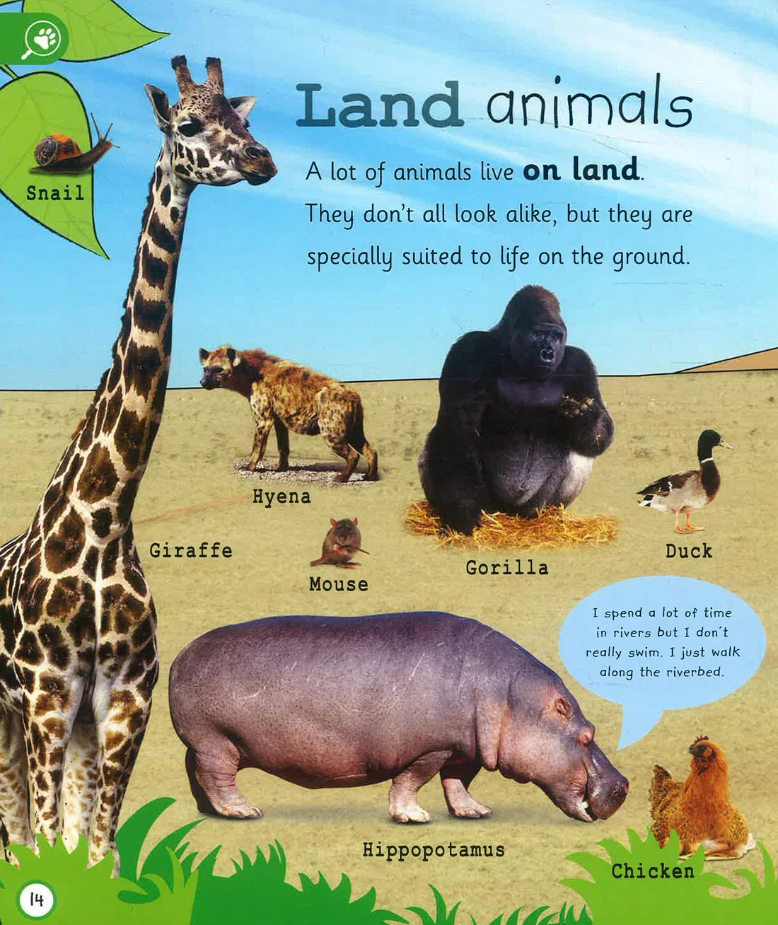 My Encyclopedia of Very Important Animals