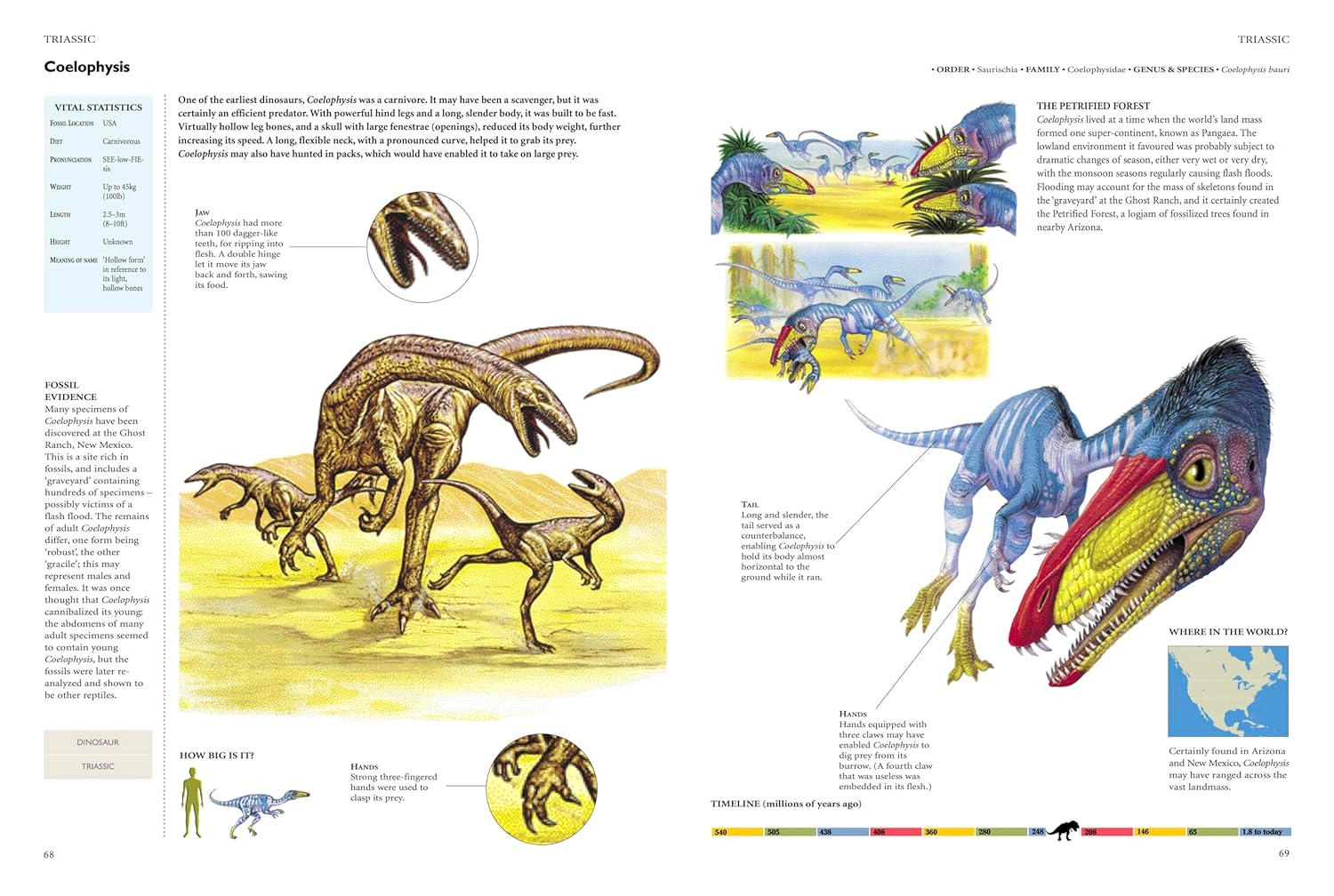 Encyclopedia of Dinosaurs (Hardcover)