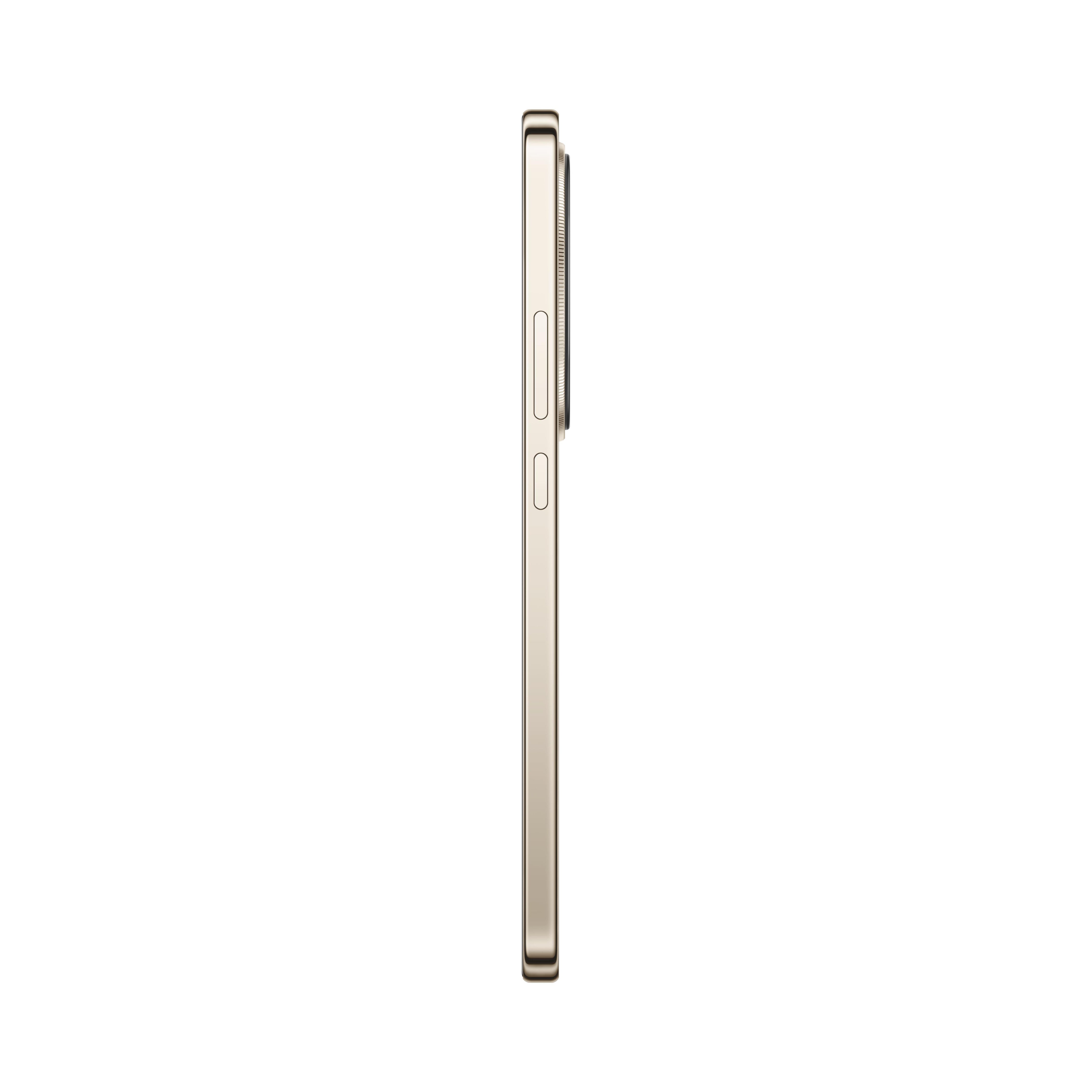 Honor X9D (12+512GB) - Gold