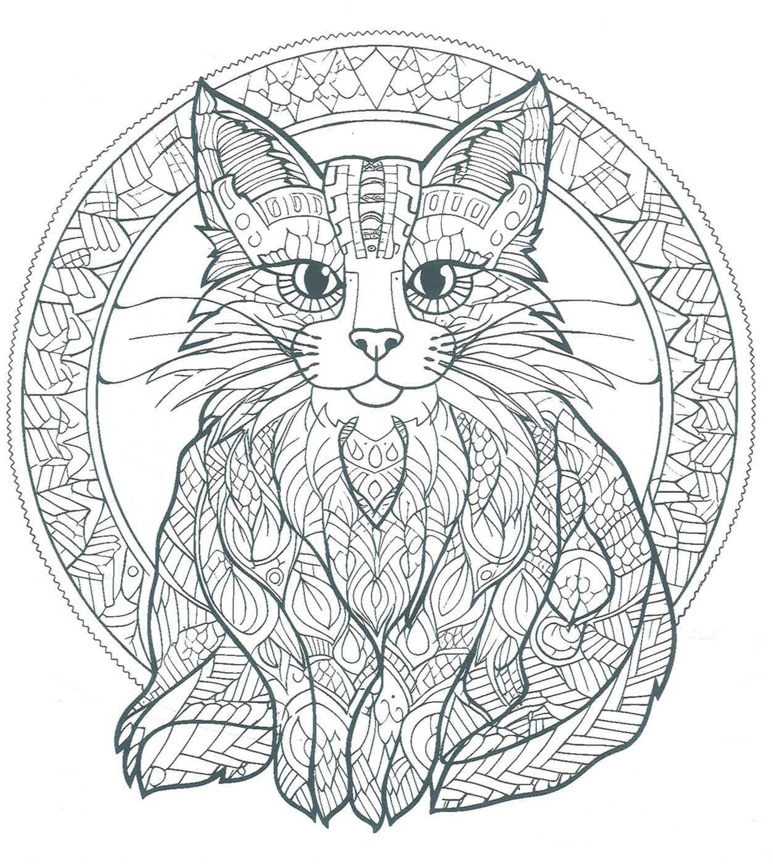Quarto: Creative Cats Colouring Book