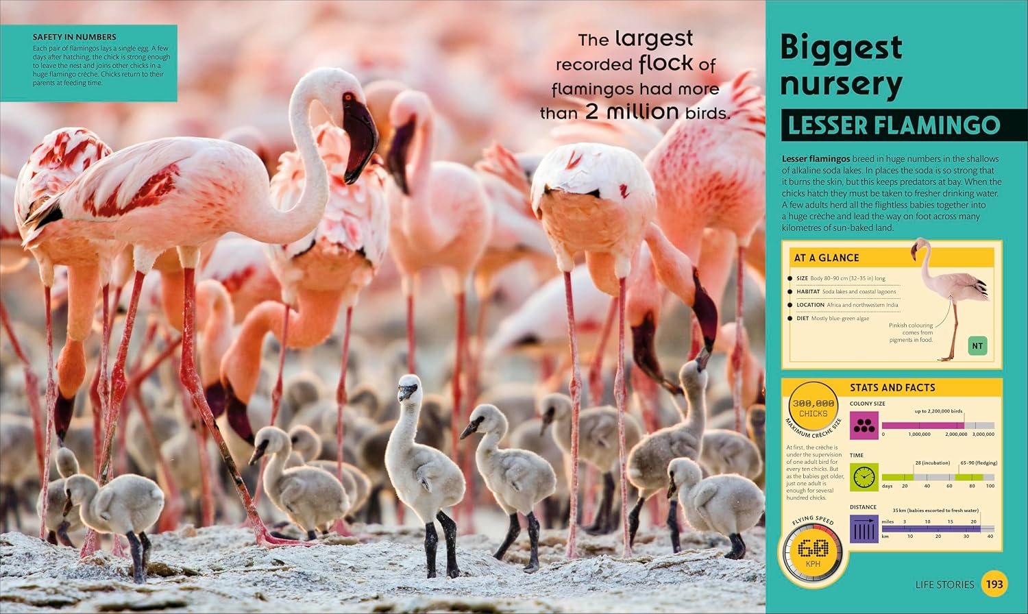 Super Nature: The 100 Biggest, Fastest, Deadliest Creatures on the Planet (DK Super Nature Encyclopedias) - 2nd Edition