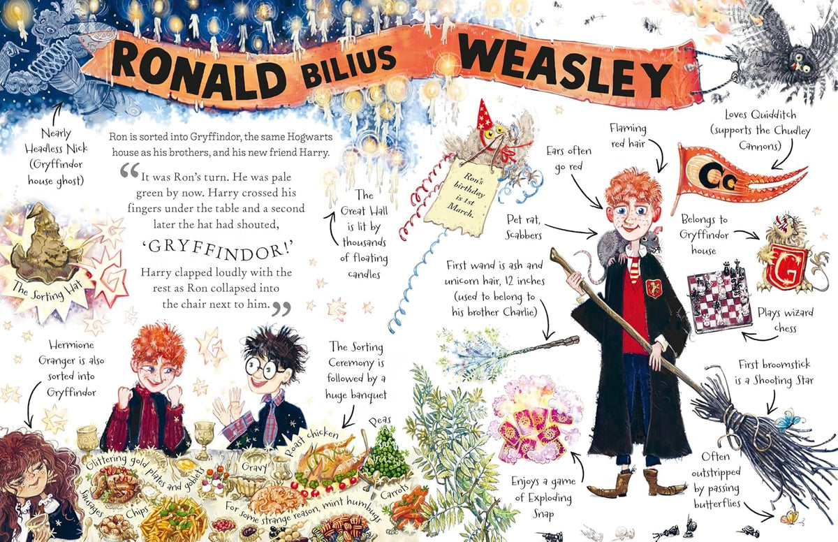 Harry Potter Pocket Potter: Ron Weasley (Hardback)