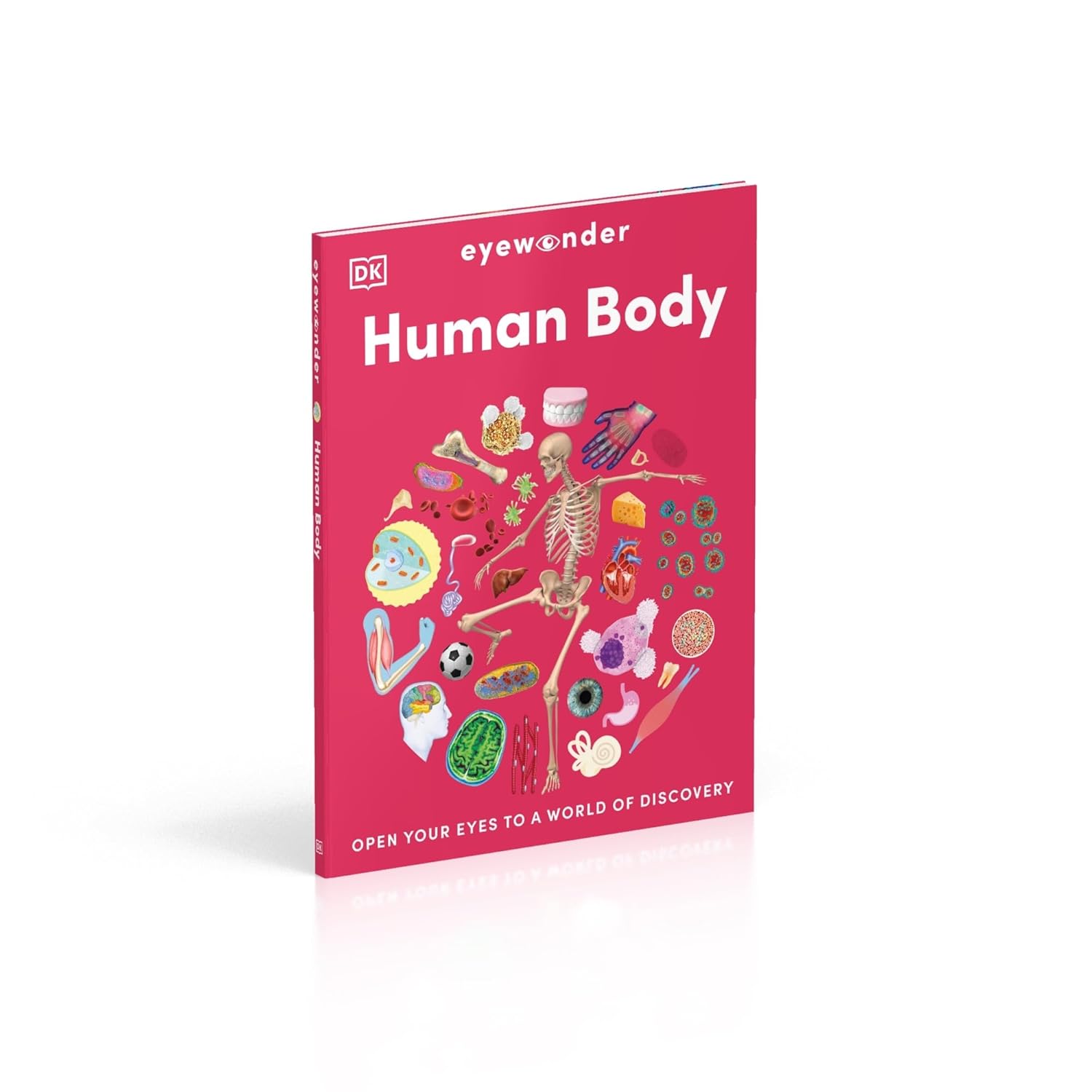 Eyewonder Human Body: Open Your Eyes to a World of Discovery