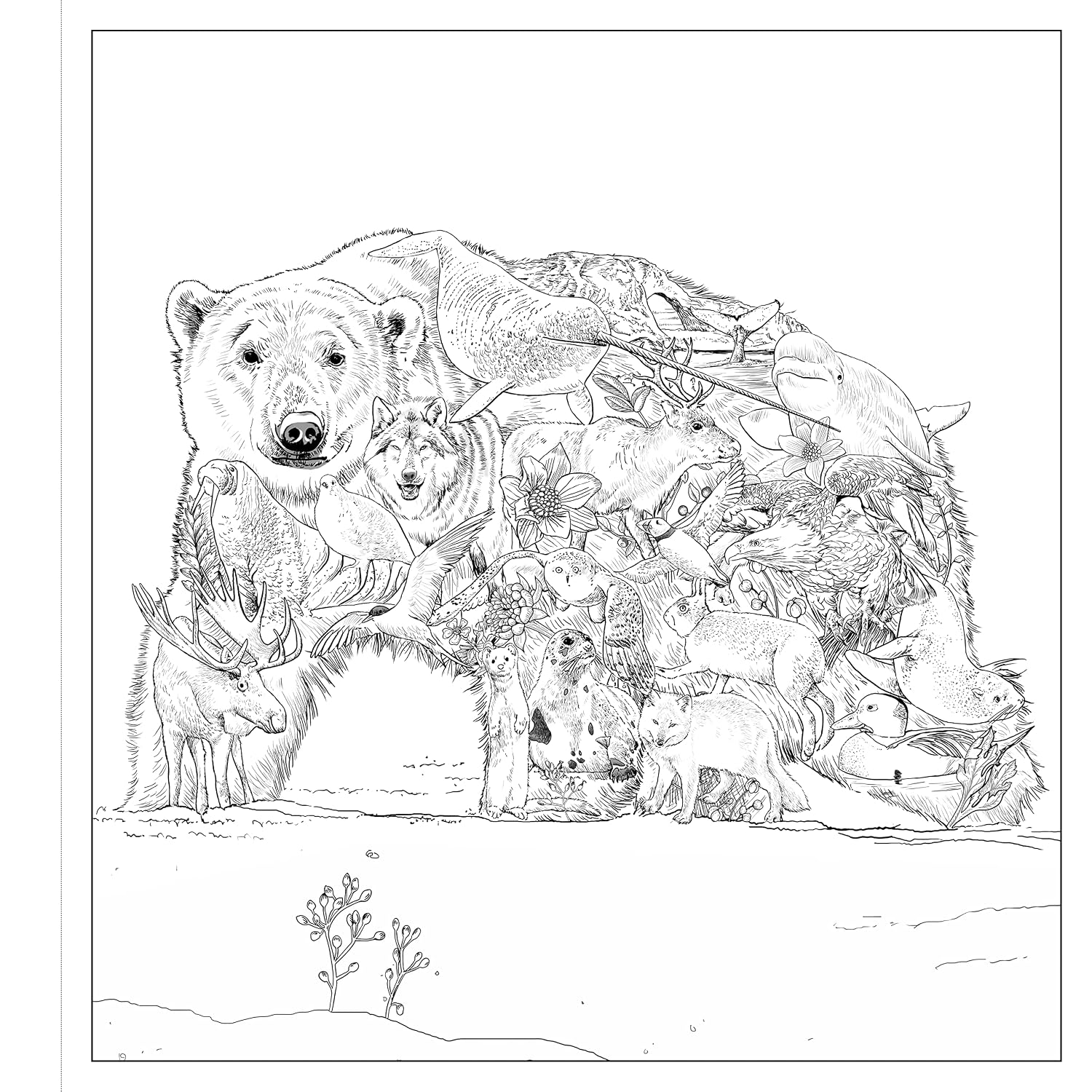 Imaginaria: In The Wild: An Artist's Coloring Book of Wonders Inside the Lines (Paperback)