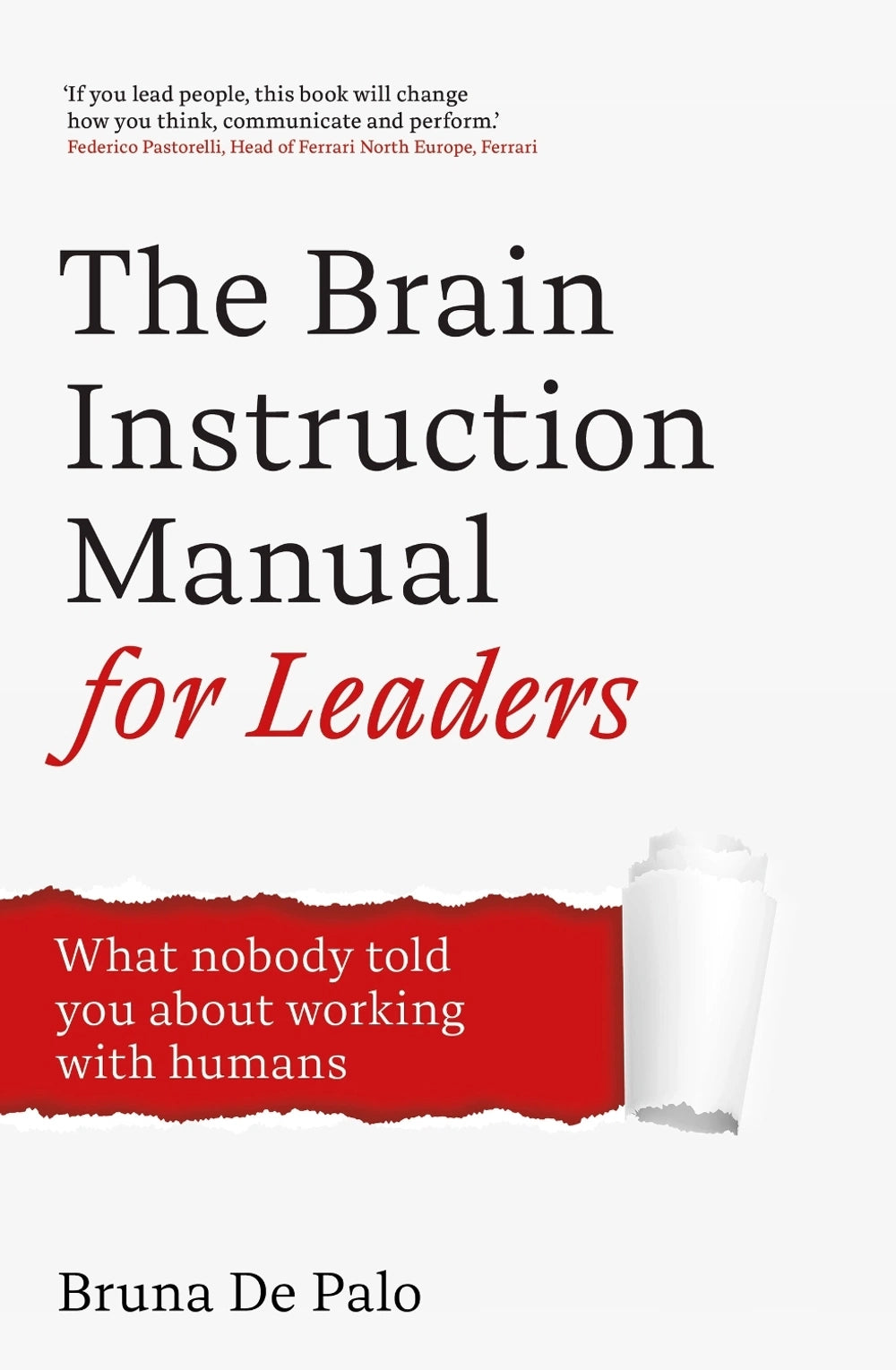 The Brain Instruction Manual for Leaders (Paperback)